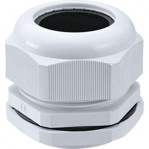 Изображение загружено из каталога картинок. //***VAD***//