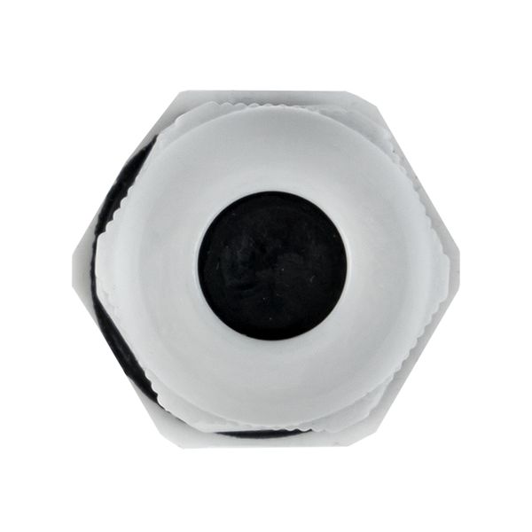 Сальник PG9 IP54 (100 шт) d отв. 16 мм / d провод. 4-8 мм EKF PROxima