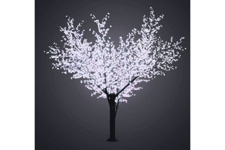 Изображение загружено из каталога картинок. //***VAD***//