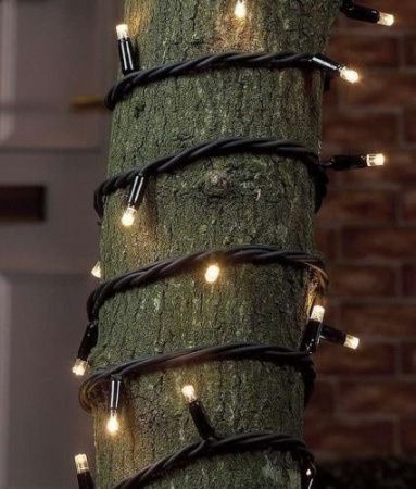 Изображение загружено из каталога картинок. //***VAD***//